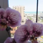 Apartman Vacanze Rotonda Sunrise Senigallia